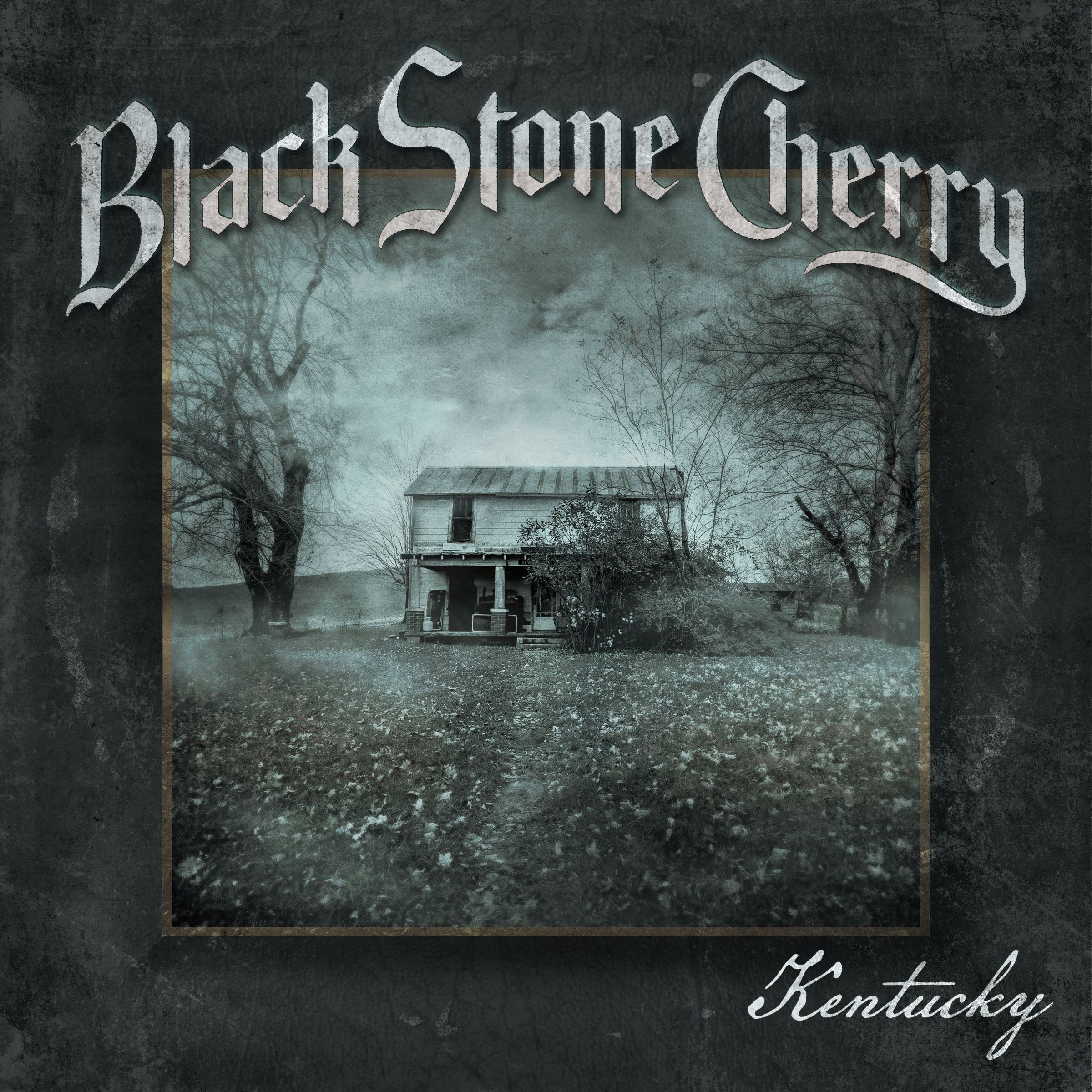 The History of Black Stone Cherry thumbnail